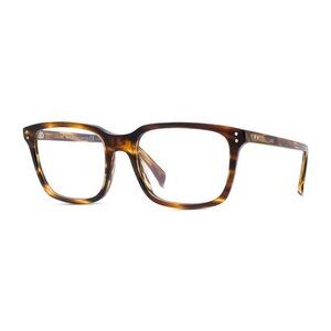NWT CELINE SUNGLASSES HAVANA